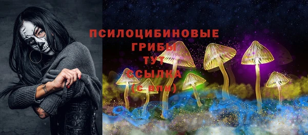 ECSTASY Абаза