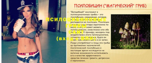 ECSTASY Абаза