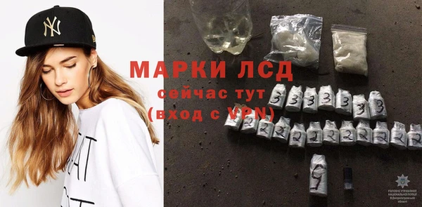 ECSTASY Абаза