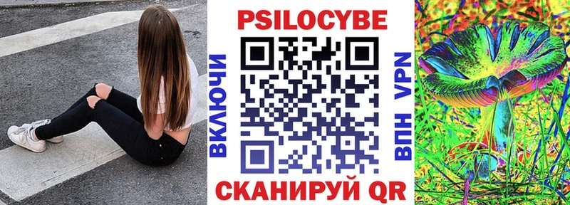 где можно купить наркотик  Грязи  Псилоцибиновые грибы Cubensis 